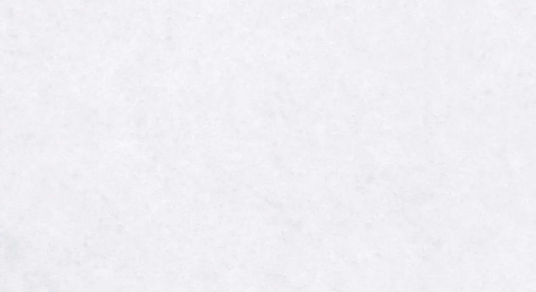 vietnam white marble showroom in agra